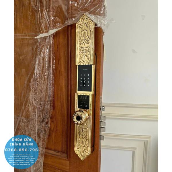 Khóa cửa vân tay tân cổ điển Avolock AC996 FaceID Gold - mặt sau