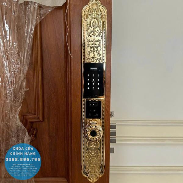 Khóa cửa vân tay tân cổ điển Avolock AC996 FaceID Gold - phụ kiện