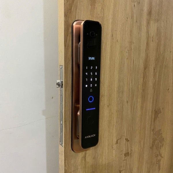 Khóa cửa vân tay Avolock AL 86FRV Face 3D chính hãng tại HCM