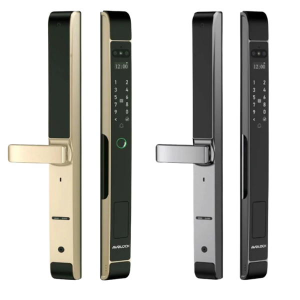 Khóa cửa nhôm Avolock AN 387 Face 3D  chính hãng tại HCM