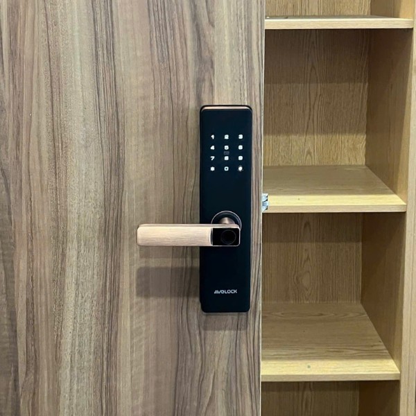 Khóa cửa vân tay AVOLOCK AV 60 (Đen / Đồng) chính hãng chính hãng tại HCM