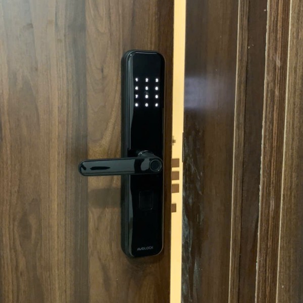 Khóa cửa vân tay Avolock AV65 R chính hãng