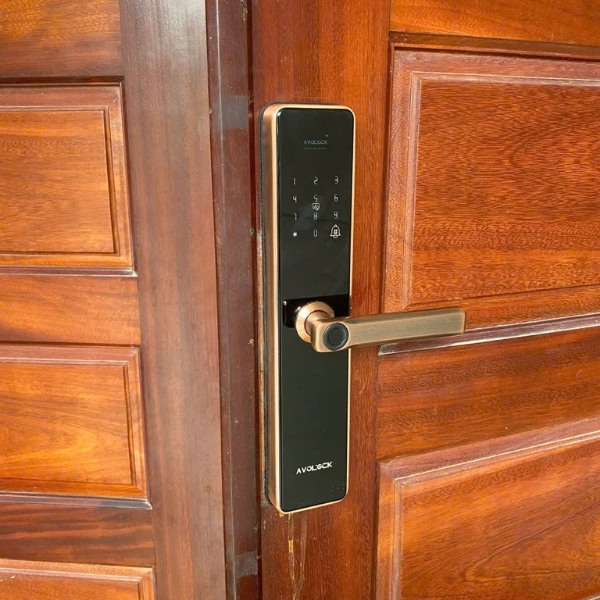 Khóa cửa vân tay Avolock AV69 app wifi chính hãng tại HCM