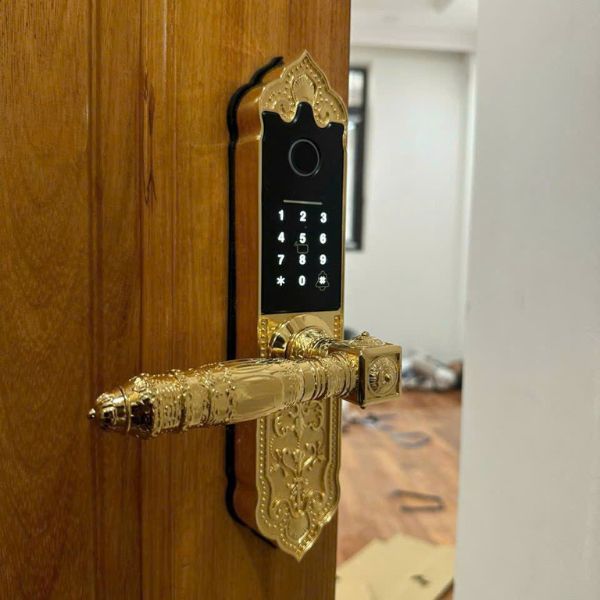 Khóa cửa vân tay Kardos SmartLock C202 Vàng - phụ kiện