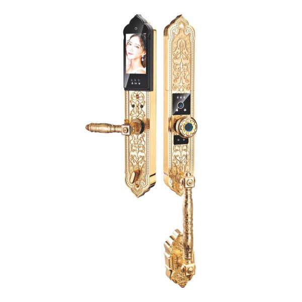 Khóa cửa vân tay Kardos SmartLock DS 611 Pro Face ID 3D - thông số kỹ thuật