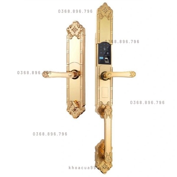 Khóa cửa vân tay đại sảnh Hubert HB DS77 GOLD chính hãng