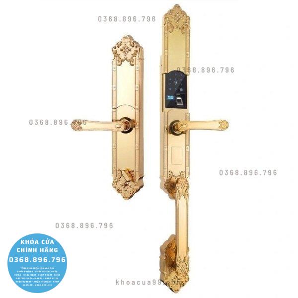 Khóa cửa vân tay đại sảnh Hubert HB DS77 GOLD - mặt sau