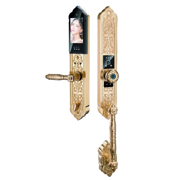 Khóa cửa vân tay đại sảnh Hubert HB DS79F chính hãng tại HCM