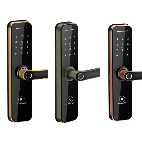 Khóa cửa vân tay Kassler KL668 App Wifi chính hãng