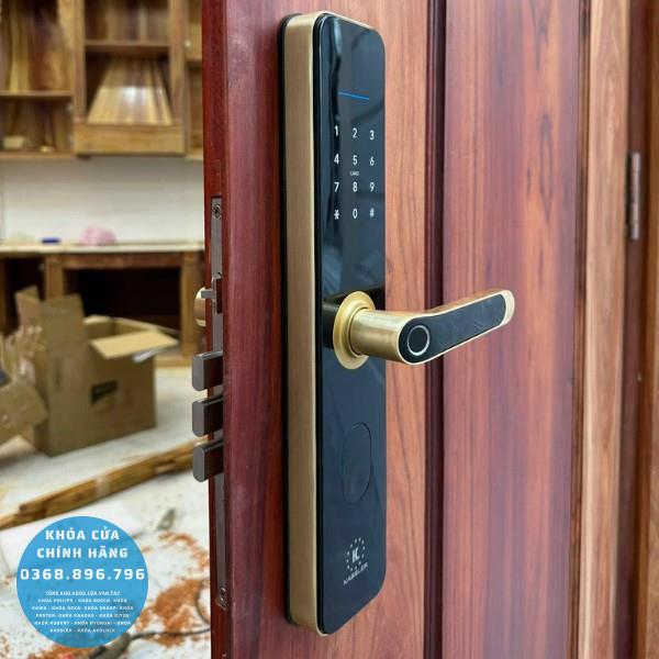 Khóa cửa vân tay Kassler KL696 Gold, App Wifi, chống nước IP68 - lắp đặt thực tế