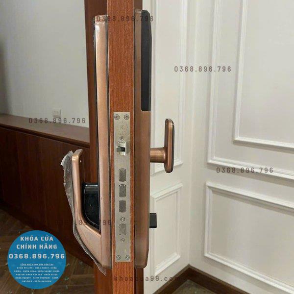 Khóa cửa vân tay Kassler KL828 bản thường - chi tiết