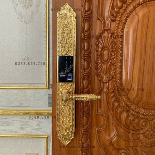 Khóa cửa vân tay tân cổ điển Kassler KL 929 chính hãng tại HCM