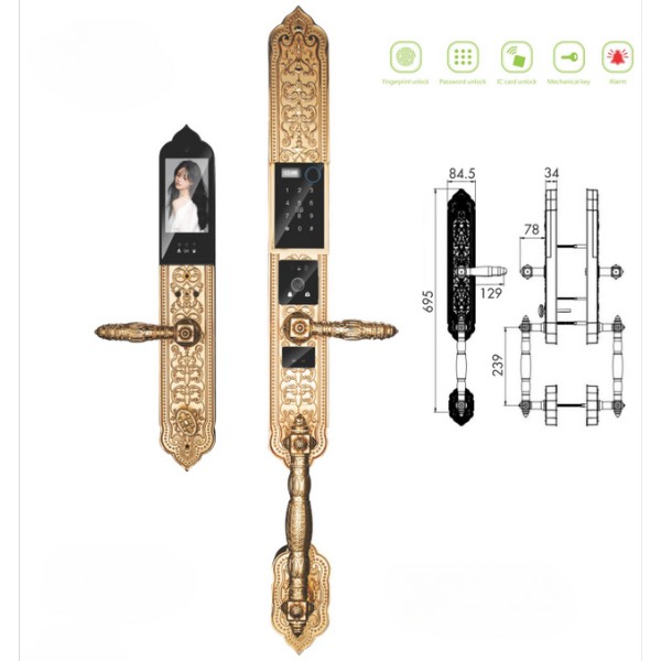 Khóa cửa vân tay tân cổ điển Kassler KL939F Pro đuôi tôm, Face 3D chính hãng