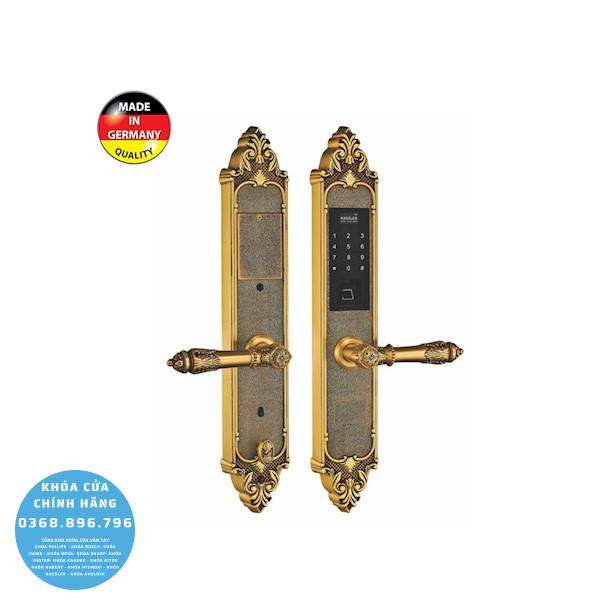 Khóa cửa vân tay tân cổ điển Kassler KL 959C - phụ kiện