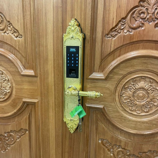 Khóa cửa vân tay tân cổ điển Kassler KL 959G chính hãng