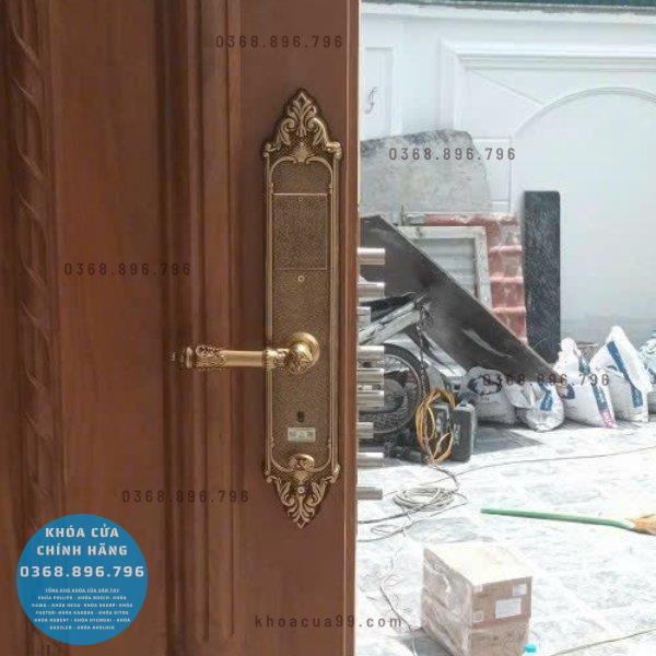 Khóa cửa vân tay tân cổ điển Kassler KL 969C - chi tiết