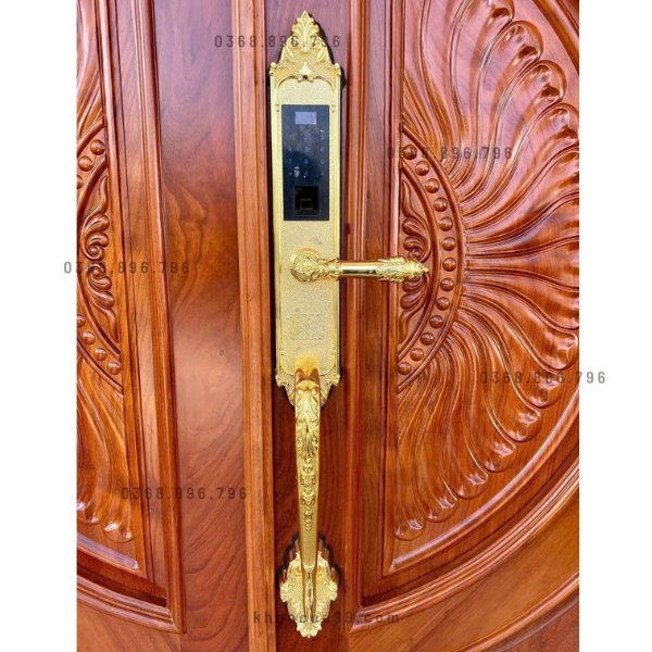 Khóa cửa vân tay tân cổ điển Kassler KL 969G chính hãng