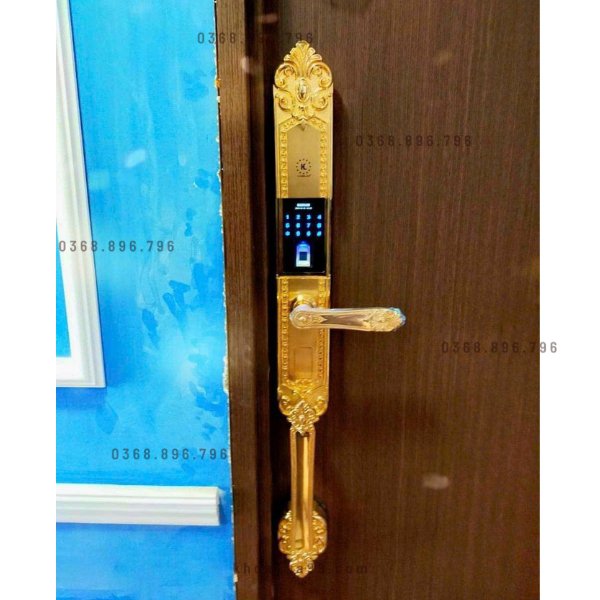 Khóa cửa vân tay tân cổ điển Kassler KL 979G chính hãng