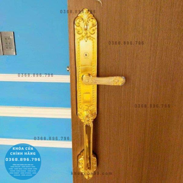 Khóa cửa vân tay tân cổ điển Kassler KL 979G - mặt sau