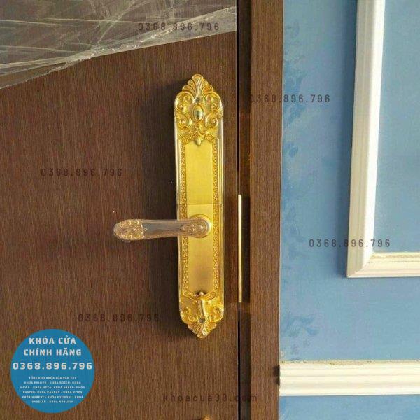 Khóa cửa vân tay tân cổ điển Kassler KL 979G - chi tiết