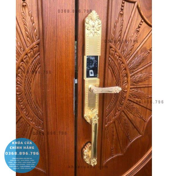 Khóa cửa vân tay tân cổ điển Kassler KL 979G - lắp đặt thực tế