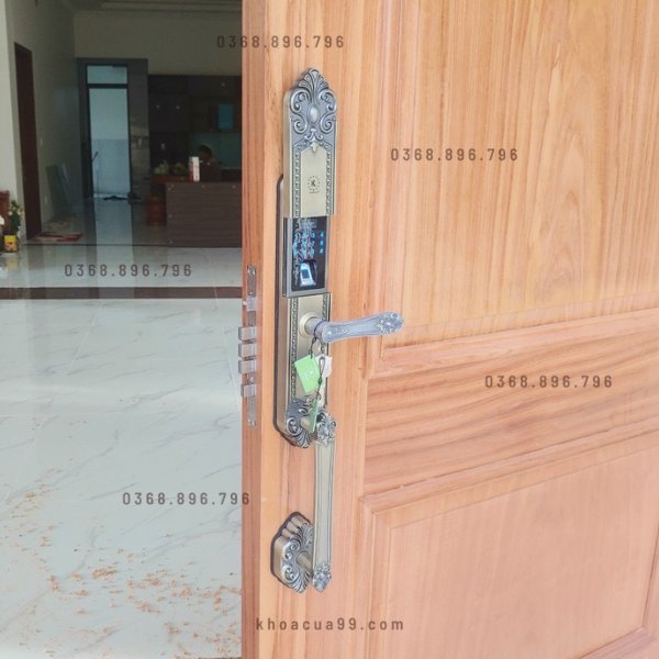 Khóa cửa vân tay tân cổ điển Kassler KL 979GR chính hãng tại HCM