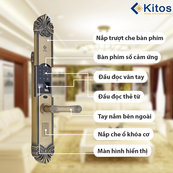 Khóa cửa vân tay tân cổ điển Kitos KT C200 chính hãng